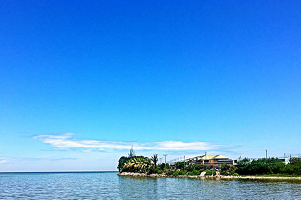 李强主持召开国务院常务会议 听取推动高质量发展综合督查情况汇报等